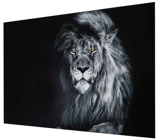 YHD Felis Leo Wall Art-2