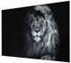 YHD Felis Leo Wall Art-2