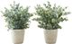 Monarch Specialties Inc. 2-Piece White 13" Tall Artificial Potted Eucalyptus Grass-0