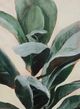 Stylecraft Plant Study II Green Wall Art-1