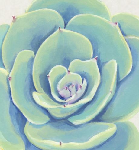Classy Living Tim OToole Pastel Succulent IV Wall Art-1