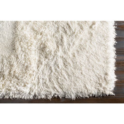 Surya Glamour Cream 5'x8' Area Rug-4
