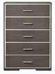 ACME Furniture Escher Gray Oak Chest-1