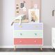 Northfield Living Colorful Youth Dresser-1