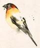 Stylecraft Abstract Songbird IV Wall Art-1