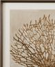 Bassett Mirror Neutral Seafan & Starfish 2-Piece Framed Print Wall Art Set-1