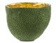 Currey & Company Jackfruit Green/Gold Large Vase-0