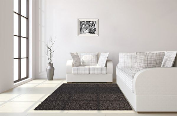 Classy Art Tiger Eyes by Xavier Ortega Wall Art-2