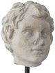 Currey & Company 2-Piece Beige/Black/Pale Gray Venus Head on Stand Set-4