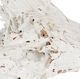 A & B Home Wattle White Natural Tree Root Decoration-1