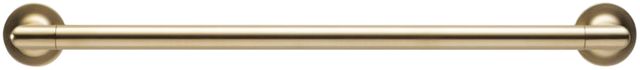 Brizo Odin® Brilliance® Luxe Gold® 18" Towel Bar-0