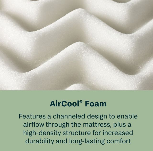 BeautySleep® Soothing Nights 16" Pocketed Coil Plush Pillow Top Full Mattress in a Box-3