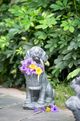 A & B Home Gray Mgo Dog Planter-5