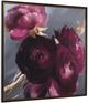 Uttermost® Plum Ranculus Framed Print Art -2
