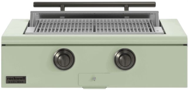 Caliber™ Rockwell 2-Burner Sage Built-In Natural Gas Grill with Pewter Hardware-0