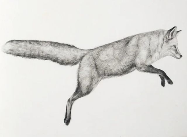 Stylecraft Flying Fox I Black/White Wall Art-1