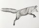 Stylecraft Flying Fox I Black/White Wall Art-1