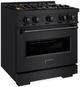 ZLINE 30" 4.2 cu. ft. Classic Gas Range with 4 Burner DuoPro™ Cooktop and Convection Gas Oven in Black Stainless Steel-2