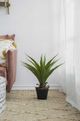A & B Home Green Artificial Yucca Plant with Cement Pot-4