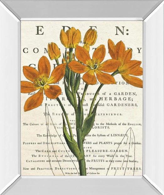 Classy Art Eurphoria Botany by Sue Schlabac Wall Art-0