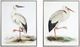 Classy Living 2-Piece Elegant Twin Storks Naturale Canvas Wall Art Set-0