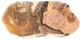 A & B Home Fernando Multi-Colored 5" Hand-Carved Zebra Onyx Bowl-0