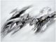 Crestview Collection Arctic Shelf Gray Wall Art -0