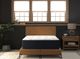 Symbol® Ultimate Luxury Darrell 13" Wrapped Coil Firm Tight Top King Mattress-5