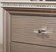 Furniture of America® Allie Rose Gold Chest-1