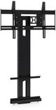 BDI Arena Flat Panel TV Cabinet Mount-0