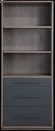 ACME Furniture Estevon Gray Oak Bookshelf-3