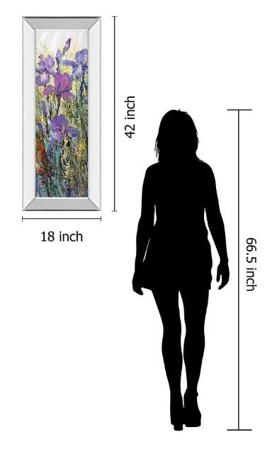Classy Art Iris Field I by Tim Otoole Mirror Framed Wall Art-2