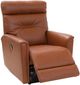 Palliser® Furniture Denali Solana Africa Wallhugger Power Recliner-1