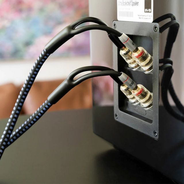 SVS SoundPath Ultra 20 ft. Bi-Wire Speaker Cable-1