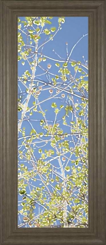 Classy Art Spring Poplars III by Sharon Chandler Wall Art-0