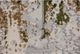 Renwil® Ariella Green/Grey 10'2" x 7'10" Rug-1