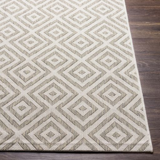 Surya Eagean Cream 5'x8' Area Rug-4