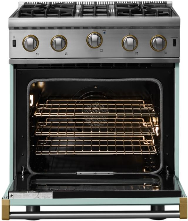 Viking® 5 Series 30" Splash Liquid Propane Pro Style Gas Range-1