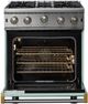 Viking® 5 Series 30" Splash Liquid Propane Pro Style Gas Range-1
