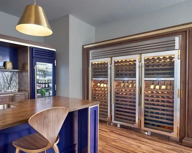 True® 30” 20.6 Cu. Ft. Stainless Steel Dual Zone Left Hinge Wine Column with Glass Door-2