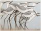 StyleCraft Norman Wyatt Home Shorebird Stride Wall Art-0