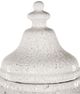 Currey & Company Virginal Antique White Large Jar-2
