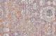 Feizy Cecily Sorbet 5' x 8' Rug-1