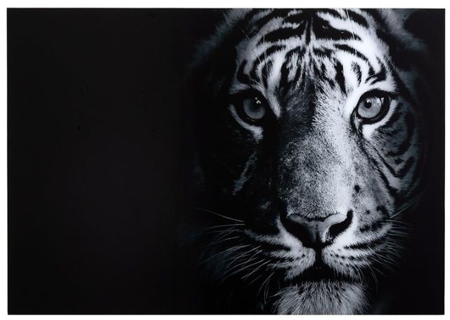 YHD Tigris I Wall Art-0