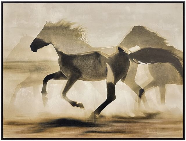 Classy Living Wildhearted Galloping Shadows Wall Art-0