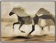 Classy Living Wildhearted Galloping Shadows Wall Art-0