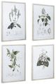 A & B Home 4-Piece White/Green Botanical Wall Arts Set-0