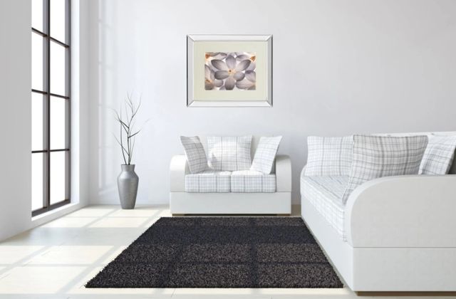 Classy Art Petal Perfect by Assaf Frank Mirror Framed Wall Art-3