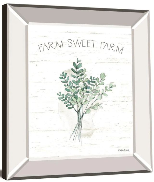 Classy Art Farmhouse Cotton V by Beth Grove Mirror Framed Wall Art-1