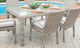 Enclover Tulip Clear/Driftwood Dining Table-0
